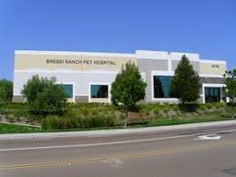 Bressi Ranch Pet Hospital